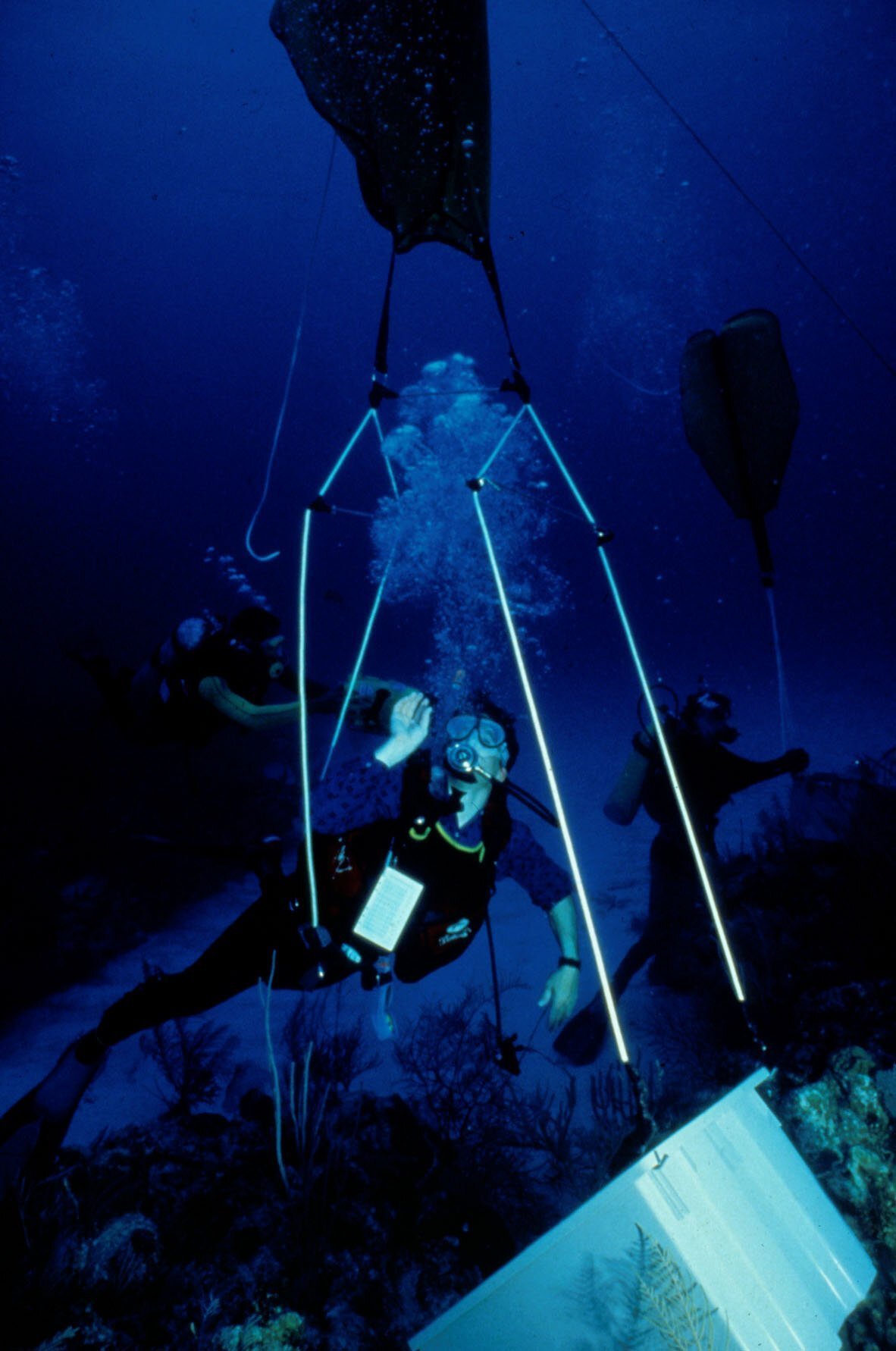The artificial ocean and coral reef inside the sealed Biosphere 2 facility.